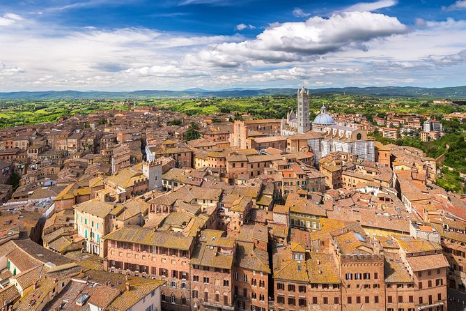 5-Day Best of Italy: Assisi, Siena, Florence, Venice and more - Day 1: Assisi and Siena before Florence
