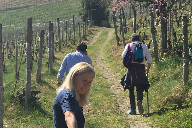 Abellonio Cascina Piccaluga - visit to the vineyards, to the wine tasting cellar - Why Cascina Piccaluga makes a good first wine visit