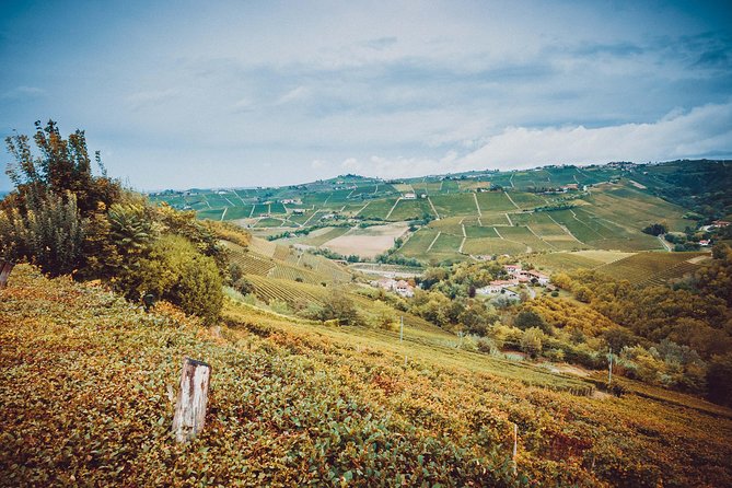 Abellonio Cascina Piccaluga - visit to the vineyards, to the wine tasting cellar - Five wines and a proper Piedmont snack