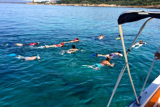 Alghero - Dolphin Watching and Guided Snorkeling (summer tour) - Why the protected area matters
