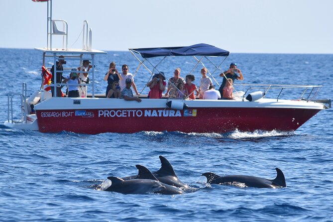 Alghero - Dolphin Watching and Guided Snorkeling (summer tour) - Is $78.64 a fair price?