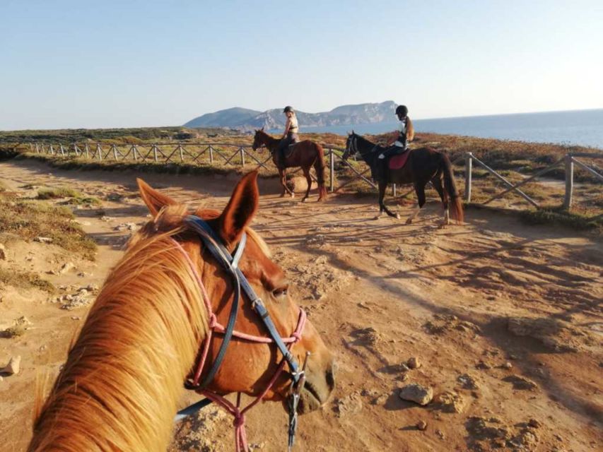 Alghero: Guided Horseback Ride at Lake Baratz & Porto Ferro - Key Points to Know Before You Book