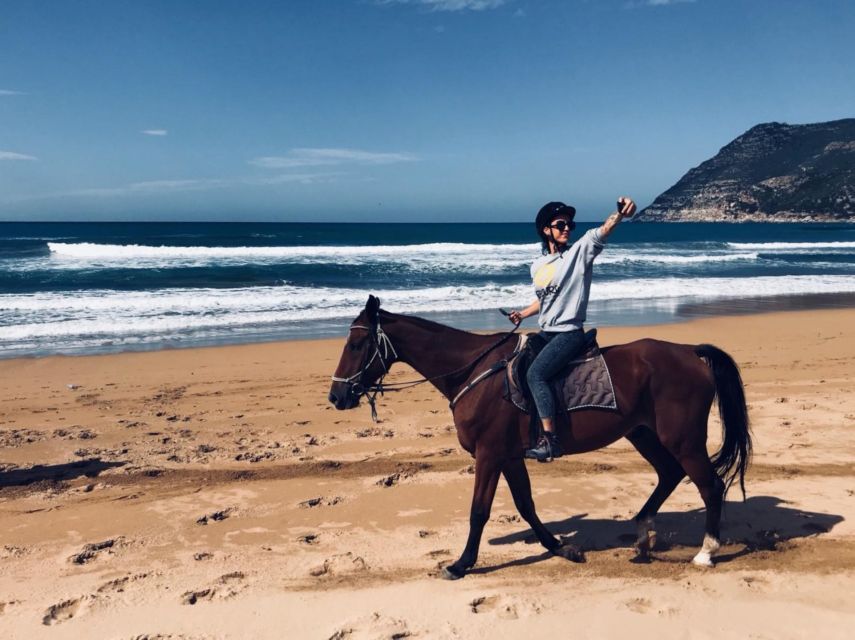 Alghero: Guided Horseback Ride at Lake Baratz & Porto Ferro - FAQ