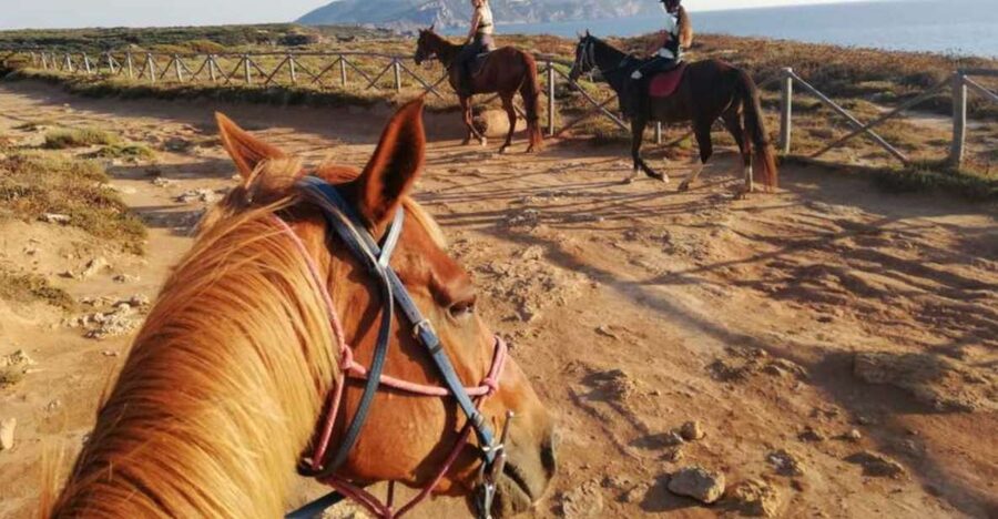 Alghero: Guided Horseback Ride at Lake Baratz & Porto Ferro - From Lake Baratz Into Sardinia’s Pine Forest