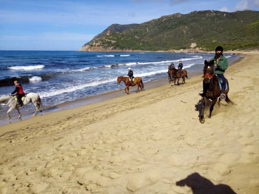 Alghero: Guided Horseback Ride at Lake Baratz & Porto Ferro - Porto Ferro Beach and Its High Sand Dunes