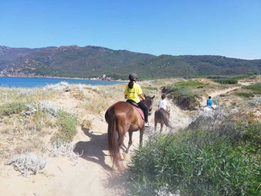 Alghero: Guided Horseback Ride at Lake Baratz & Porto Ferro - Calm Horses and Strong Support for First-Time Riders