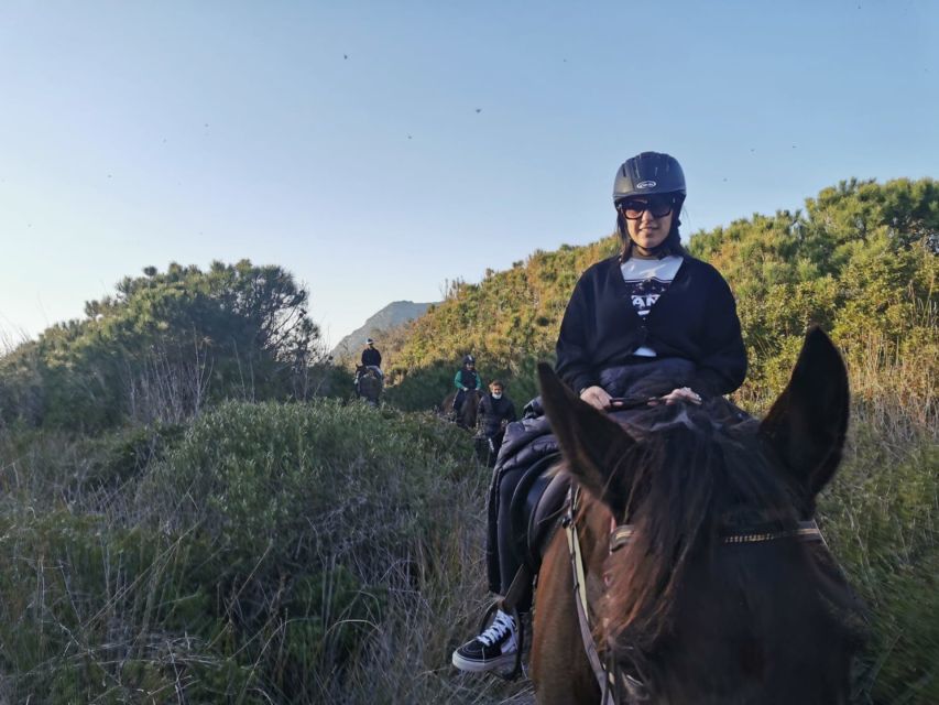 Alghero: Guided Horseback Ride at Lake Baratz & Porto Ferro - Who Should Book This Ride
