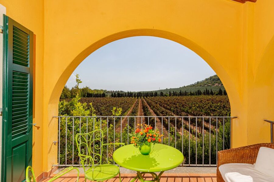 Alghero: Wine and Olive Oil Tasting at a Local Farm - What makes this Alghero tasting worth your time