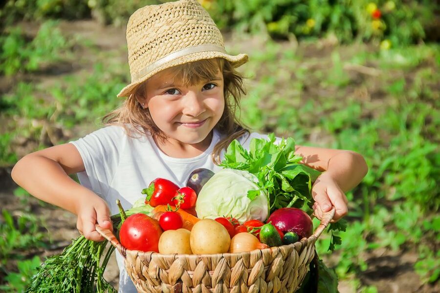 Amalfi: Cooking Class and Farmhouse Visit With Meal - From garden baskets to the outdoor kitchen
