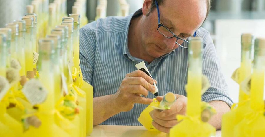 Amalfi: Vertical Lemon Farm Tour, Tastings, and Rural Museum - Key points at a glance