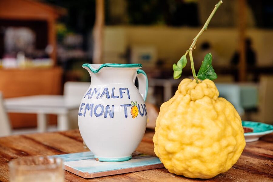 Amalfi: Vertical Lemon Farm Tour, Tastings, and Rural Museum - Is $41 a fair price?