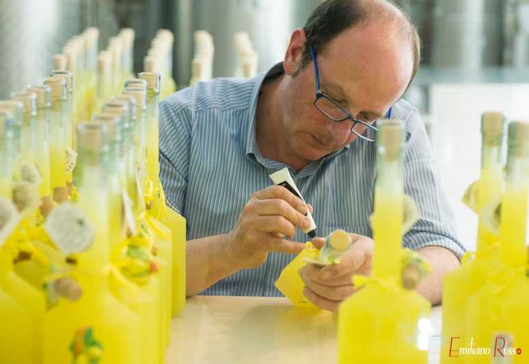 Amalfi: Vertical Lemon Farm Tour, Tastings, and Rural Museum - What the 90-minute route includes