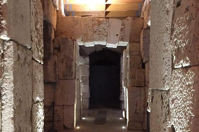Ancient Rome and Colosseum Private Tour with Underground Chambers and Arena - What private really means here