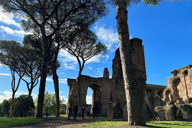 Ancient Rome Discovery: Colosseum, Forum, Palatine Guided Tour - Climbing Palatine Hill for the imperial view