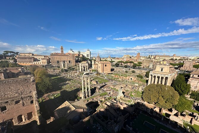 Ancient Rome Discovery: Colosseum, Forum, Palatine Guided Tour - Who should book this Colosseum experience?