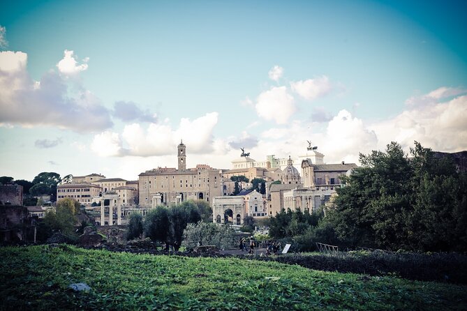 Ancient Rome Guided Walking Tour: Colosseum, Forum and Palatine - Palatine Hill and the first view of Rome