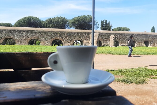 Appian Way Aqueducts Bike Tour (Catacombs & Lunch Option) - The Aqueducts Park and Rome’s engineering