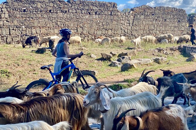 Appian Way & Aqueducts small group e-bike tour(catacombs & food) - The guides make the ride work