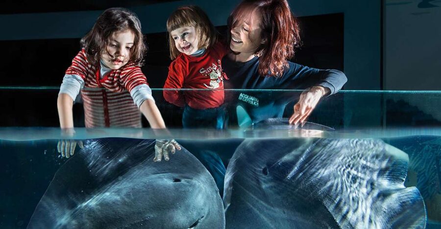 Aquarium of Cattolica Entry Ticket - Yellow Route: a change from sea to river life