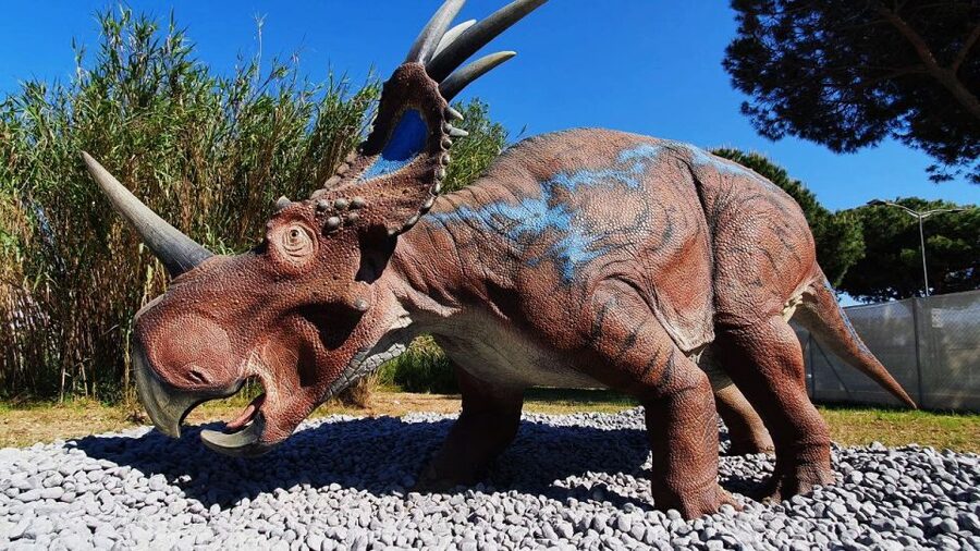 Aquarium of Cattolica Entry Ticket - Purple Route: giant insects with a scientific purpose