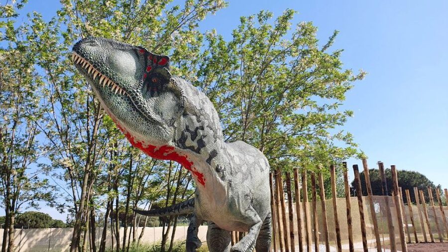 Aquarium of Cattolica Entry Ticket - Summer bonus: The World of Dinosaurs
