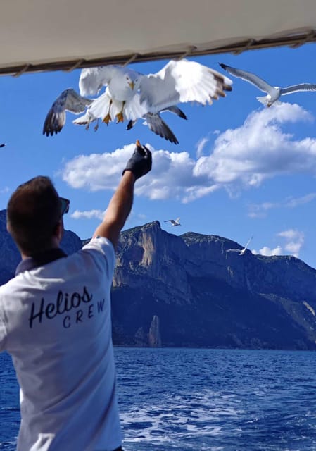 Arbatax: Gulf of Orosei Day Tour by Boat - At a glance: the details that matter