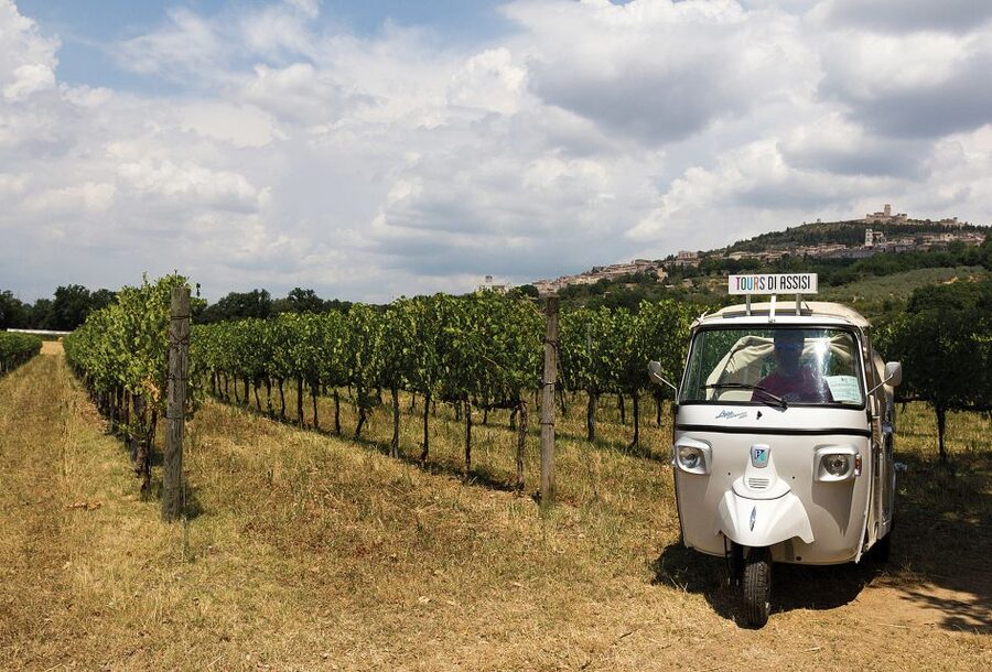 Assisi: Panoramic Tuk Tuk Tour - Key points to know before booking