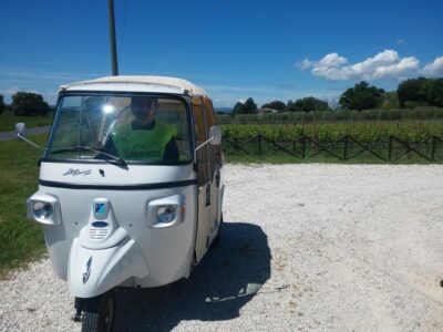 Panoramic Tuk Tuk Tour