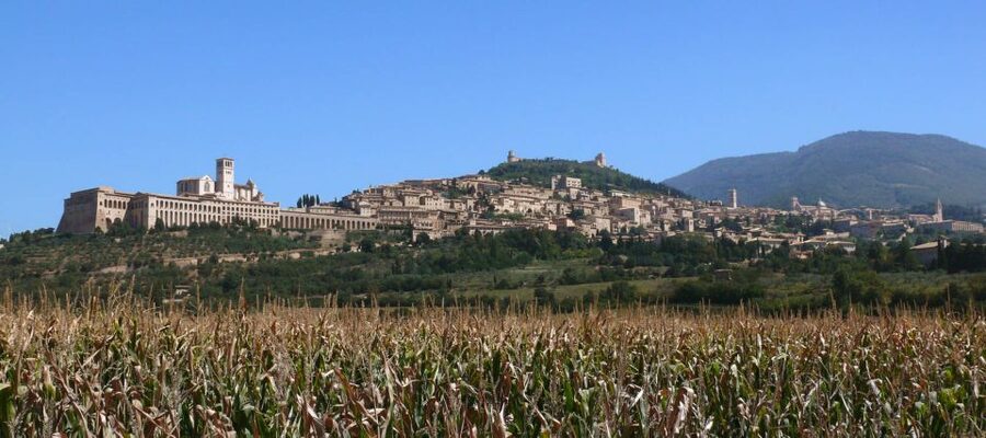 Assisi: Walking Tour with St. Francis Basilica Visit - Key points at a glance