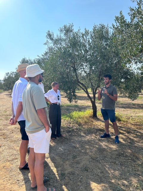 Balestrate: Olive Grove Tour with Wines & Olive Oil Tasting - Who will enjoy this Balestrate experience most