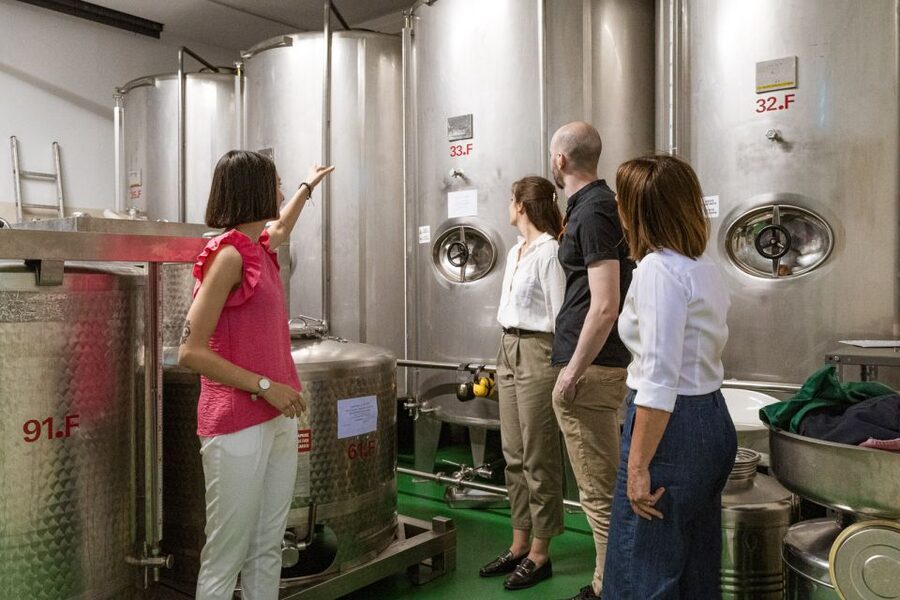 Bardolino: Lake Garda Oil Mill Tour with Olive Oil Tasting - Why Bardolino’s olive oil deserves your attention