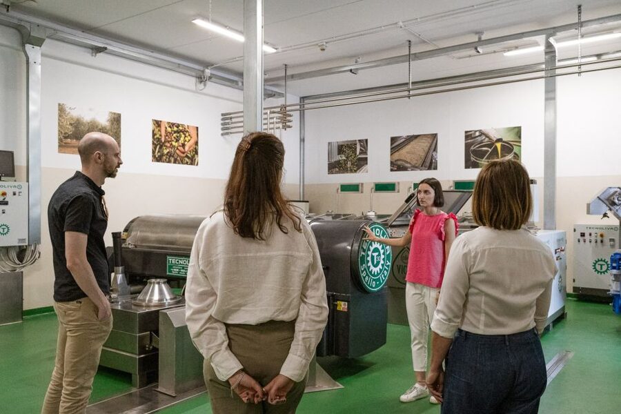 Bardolino: Lake Garda Oil Mill Tour with Olive Oil Tasting - Seeing how the mill makes extra virgin olive oil
