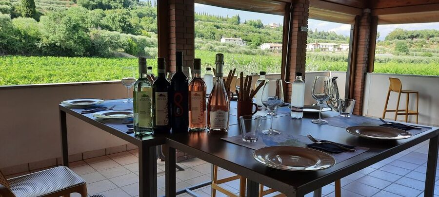 Bardolino: Vineyard Tour with Wine, Olive Oil & Food Tasting - Five Bardolino-area wines on the terrace