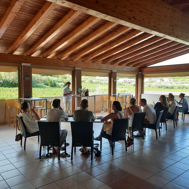 Bardolino: Vineyard Tour with Wine, Olive Oil & Food Tasting - The vineyard walk and what you learn