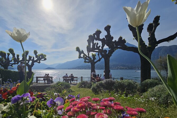 Bellagio & Varenna Full-day Tour on Lake Como by private boat - The return boat to Como