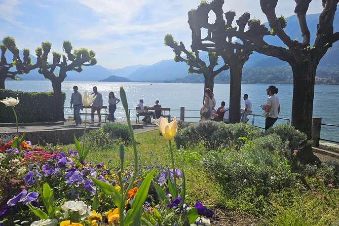 Bellagio & Varenna Full-day Tour on Lake Como by private boat - Cruising north from Como by private boat