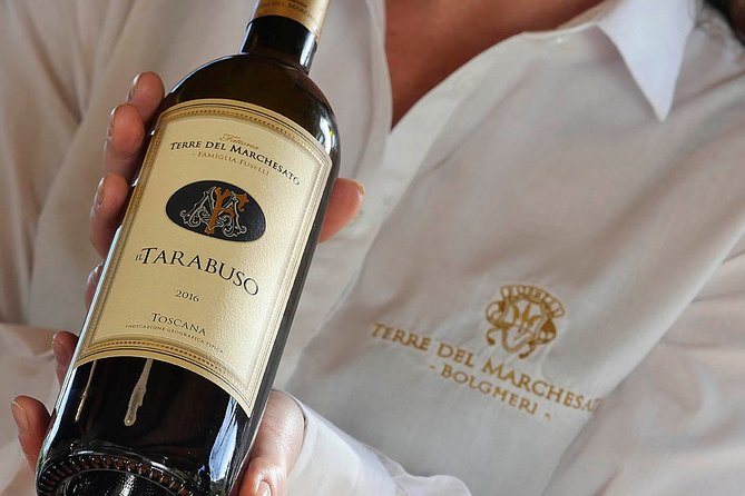 Bolgheri: Classic Wine Tasting with Winery Tour - Key points to know before booking
