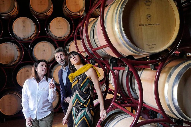Bolgheri: Classic Wine Tasting with Winery Tour - Three wines, from Bolgheri Bianco to Superiore
