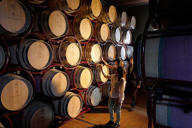 Bolgheri: Classic Wine Tasting with Winery Tour - Booking, timing, and cancellation advice