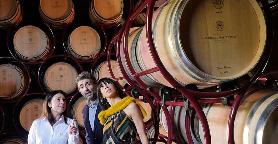 Bolgheri: Winery Tour with Wine Tasting - Key points to know before you book