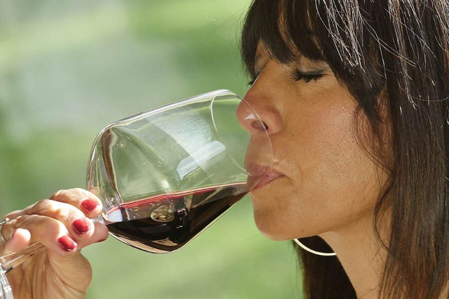 Bolgheri: Winery Tour with Wine Tasting - What I like most, and what I would watch for