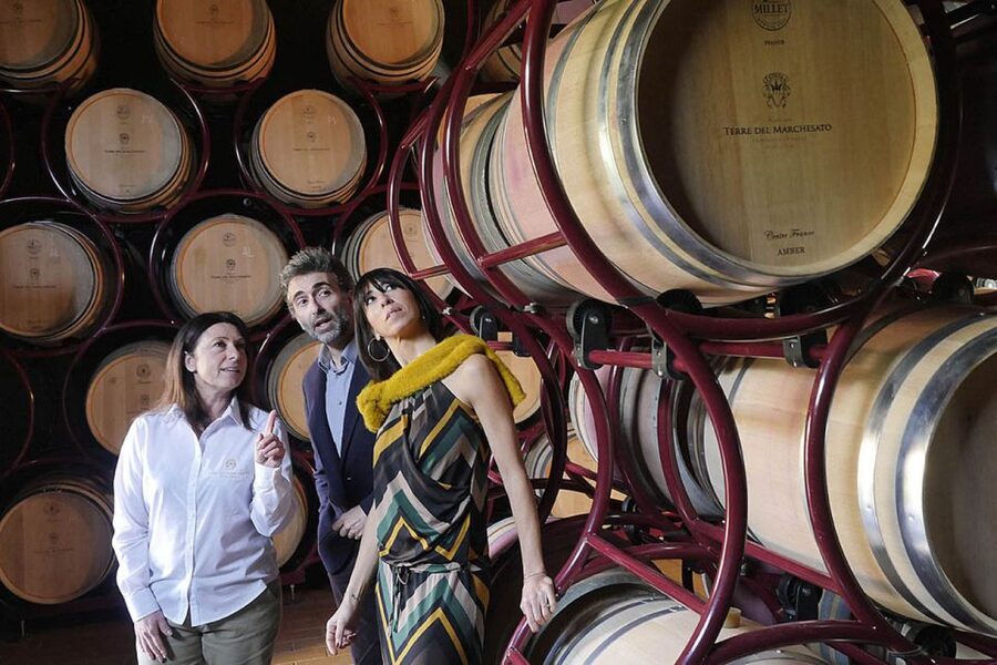 Bolgheri: Winery Tour with Wine Tasting - Inside the winery, from grape to glass