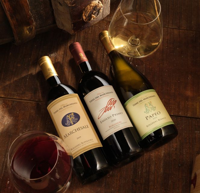 Bolgheri: Winery Tour with Wine Tasting - How much value do you get for $29?