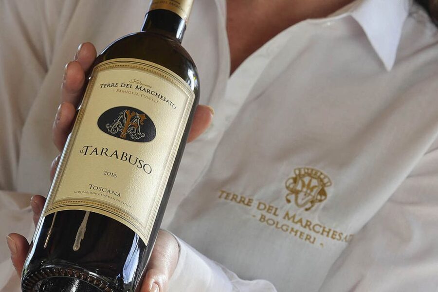 Bolgheri: Winery Tour with Wine Tasting - Practical planning for your visit