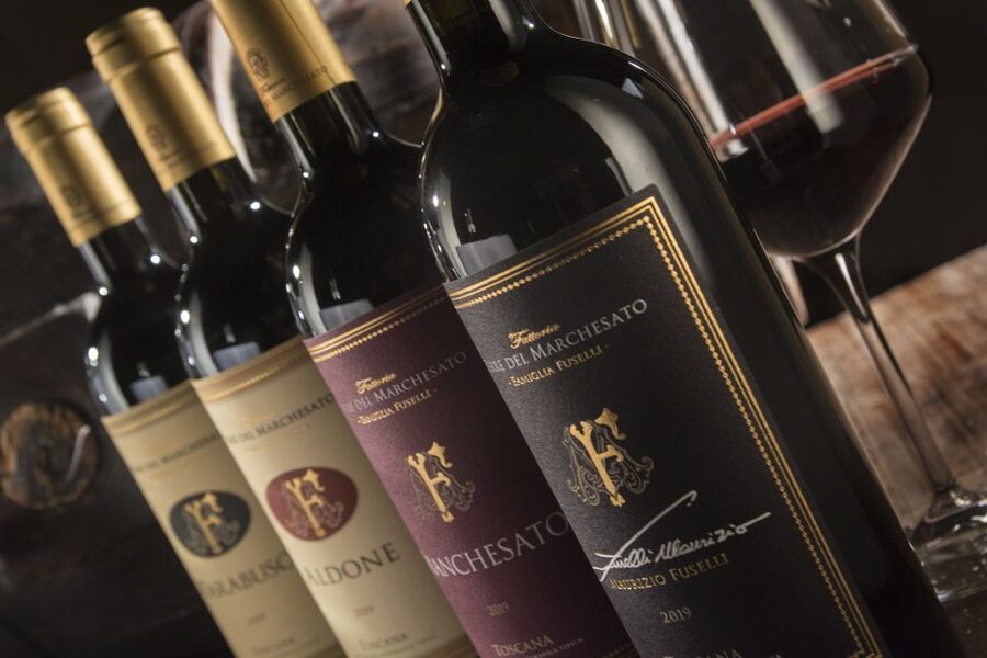 Bolgheri: Winery Tour with Wine Tasting - Starting among the vines near Bolgheri