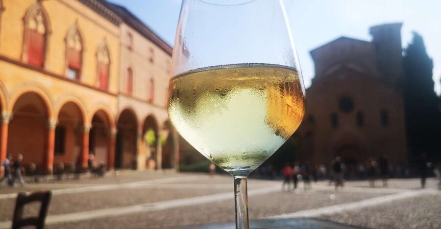 Bologna: City Center Guided Wine Walking Tour - Starting at Piazza del Nettuno