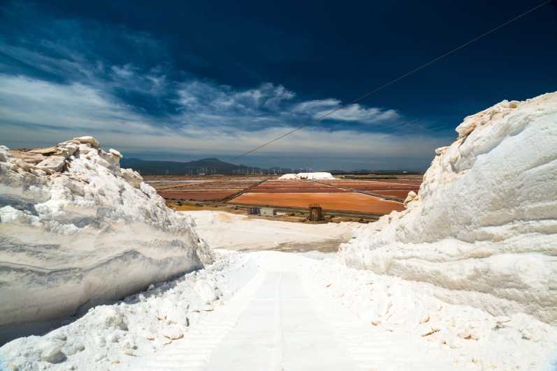 Cagliari: Conti Vecchi Salt Flats Train and Tour - Why a saltworks belongs on your Cagliari plans