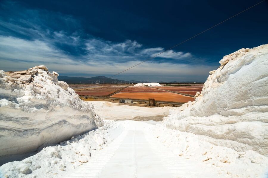 Cagliari: Conti Vecchi Salt Flats Train and Tour - Luigi Conti Vecchi and the making of Macchiareddu