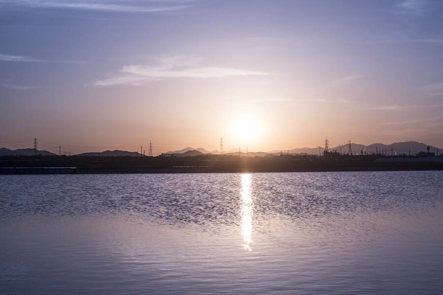 Cagliari: Conti Vecchi Salt Flats Train and Tour - Flamingos and wetland wildlife