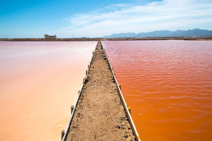 Cagliari: Conti Vecchi Salt Flats Train and Tour - What the tour feels like in Italian